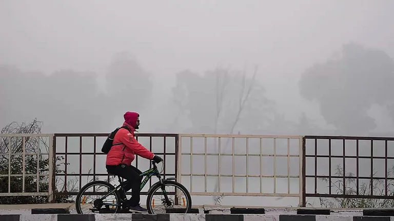 null - Photo: PTI/Ravi Choudhary