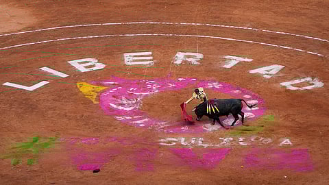 Mexico Bullfighting