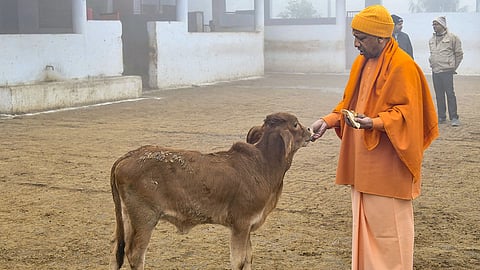 Yogi Adityanath in Gorakhpur