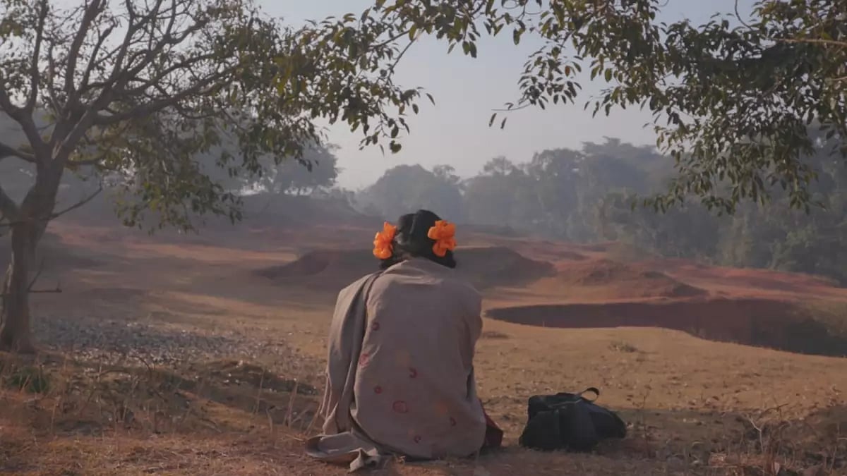 Instagram : 'To Kill A Tiger'