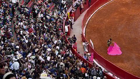 Mexico Bullfighting