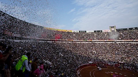 Mexico Bullfighting