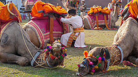 Rehearsal For Beating Retreat Ceremony