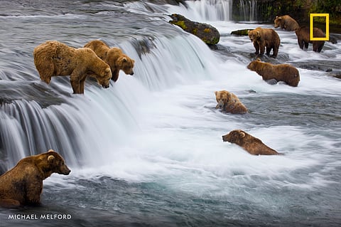 Katmai National Park (Photo Via National Geographic)