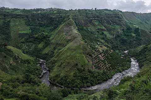 Magdalena River (Photo via National Geographic)