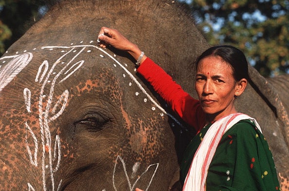 Getty Images : Parbati Baruah has been awarded the Padma Shri for her work in elephant conservation