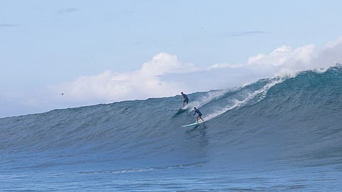 Emily Erickson, Trevor Carlson