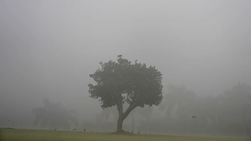 Winter in Delhi