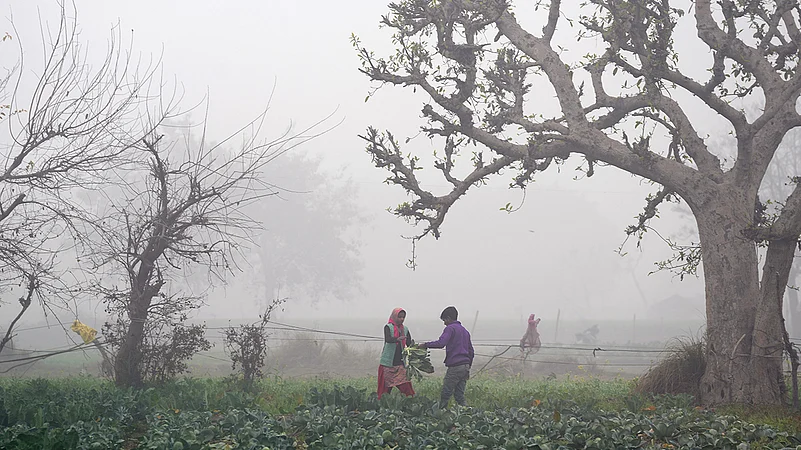 Winter in Delhi