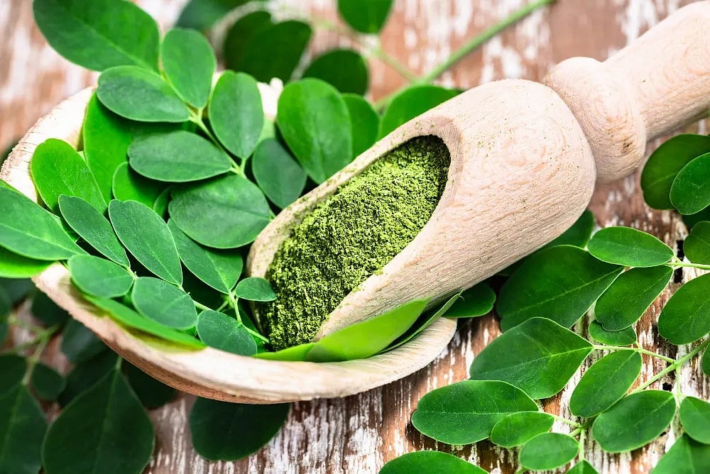 Moringa Powder