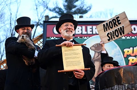 Punxsutawney Phil Prediction