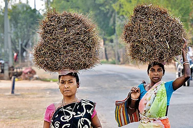 Photo: Tribhuvan Tiwari