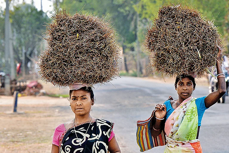 Eking out a Living: Tribal women in Godda district of Jharkhand carrying wooden stakes they collected - Photo: Tribhuvan Tiwari