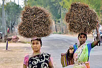 Cabinet Approval Of PESA Rules In Jharkhand: A Political Milestone Shadowed By Constitutional Questions Photo: Tribhuvan Tiwari : The opposition argues that unless the rules are made fully public and opened for wider debate, tribal interests cannot be considered protected. Reactions from tribal organisations are also far from uniform