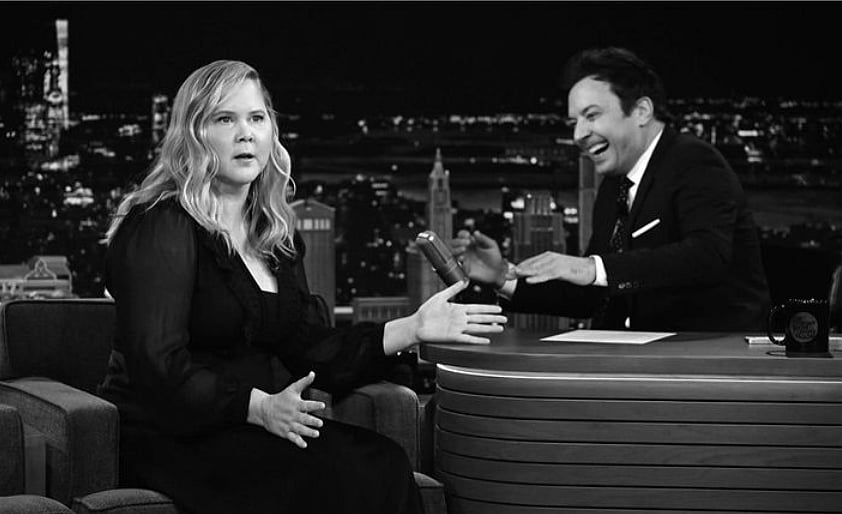 @amyschumer/Instagram