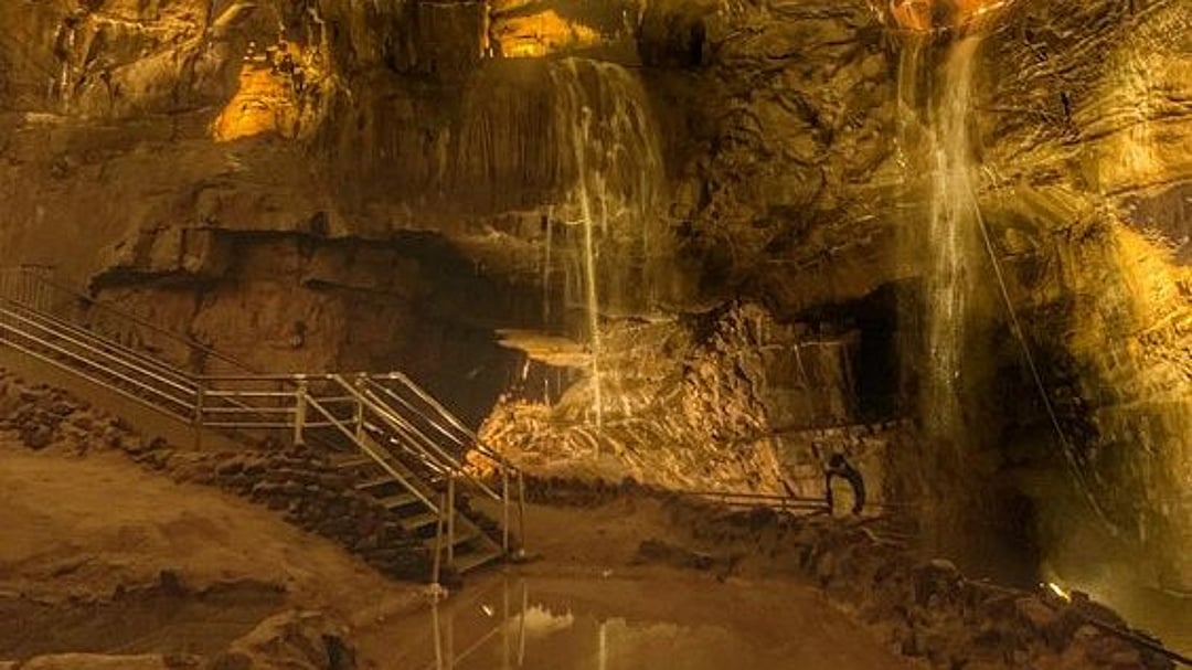 Mammoth Cave National Park