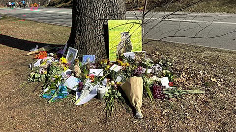Memorial tree dedicated to Flaco.