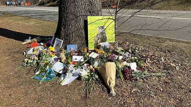 Beloved NYC Celebrity Owl, Flaco, Mourned By Fans In Central Park Memorial