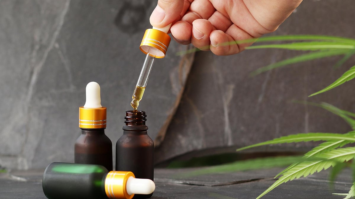 5 Best CBD Oil Products