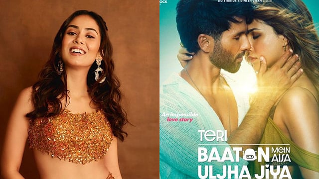 Here's What Mira Rajput Has To Say About 'OG Lover-Boy' Shahid Kapoor's Film 'Teri Baaton Mein Aisa Uljha Jiya'