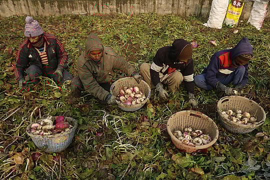 ‘We Must Support Those Who Feed Us’: A Farmer-Poet’s Personal Account