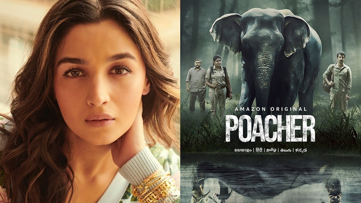 Twitter : Alia Bhatt