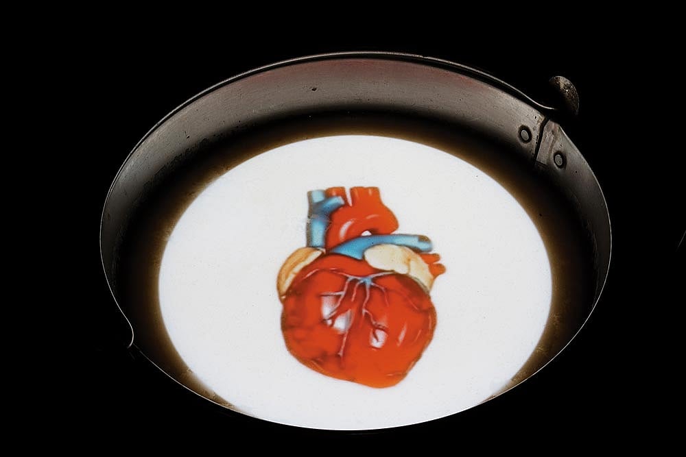 Photograph of Artwork: Vinay Mahidhar : Artwork by Sudarshan Shetty, from the show ‘Love’, in 2006