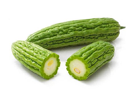 Bitter melon