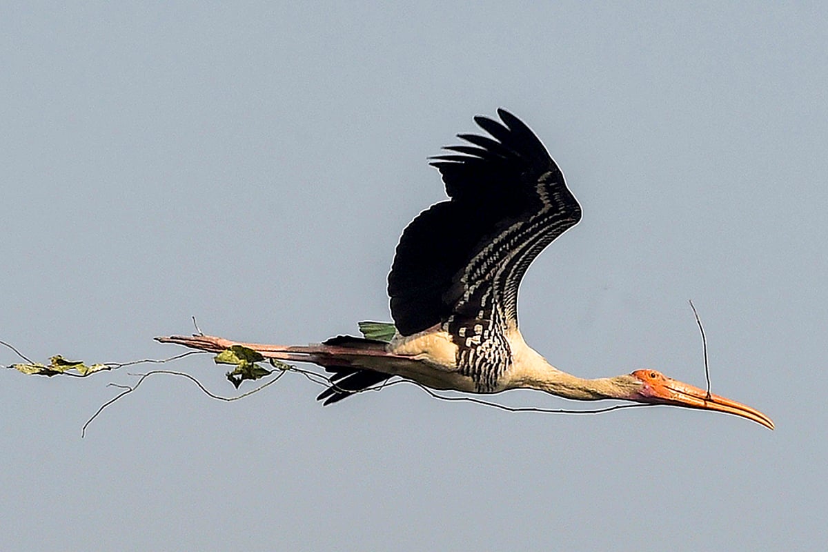 Day In Pics: February 11, 2024