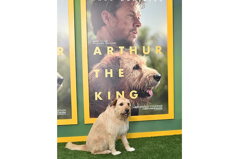 ‘Arthur The King’ Premiere