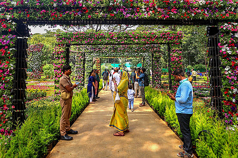 Live plants show in Chennai