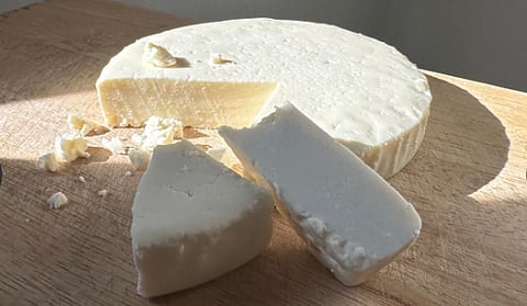 Queso Fresco