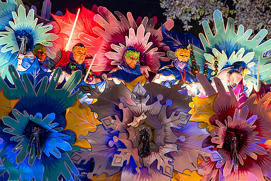 In Pics: Mardi Gras Celebrations In New Orleans