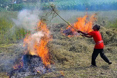 Crop stubble burning in WB