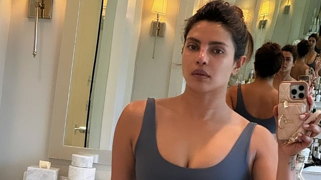 Priyanka Chopra 'Going Back To Work Energy', Shares Mirror Selfie