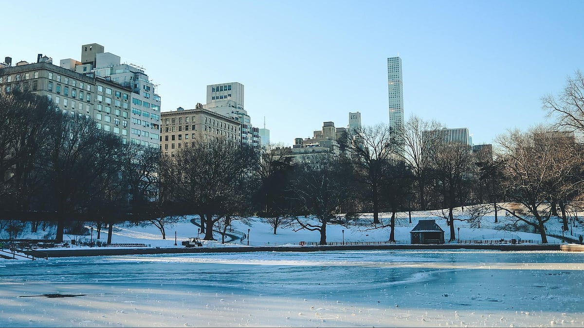 | Image: Pexels : NYC area to receive snow this week.