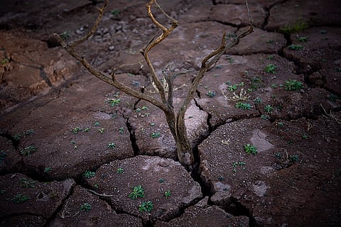Spain Drought
