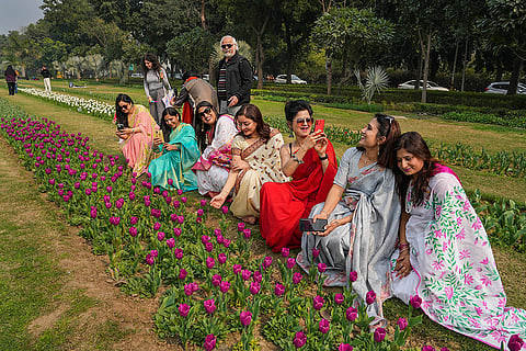 Standalone: NDMC's Tulip Festival