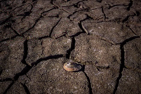 Spain Drought