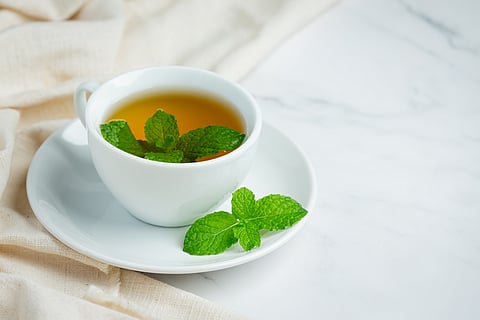 Tulsi Tea