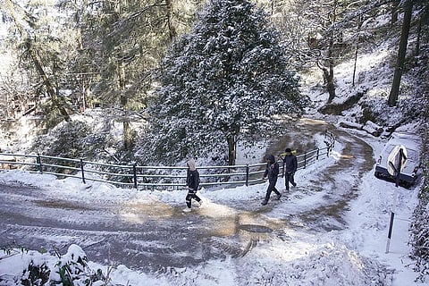 Snowfall in Shimla
