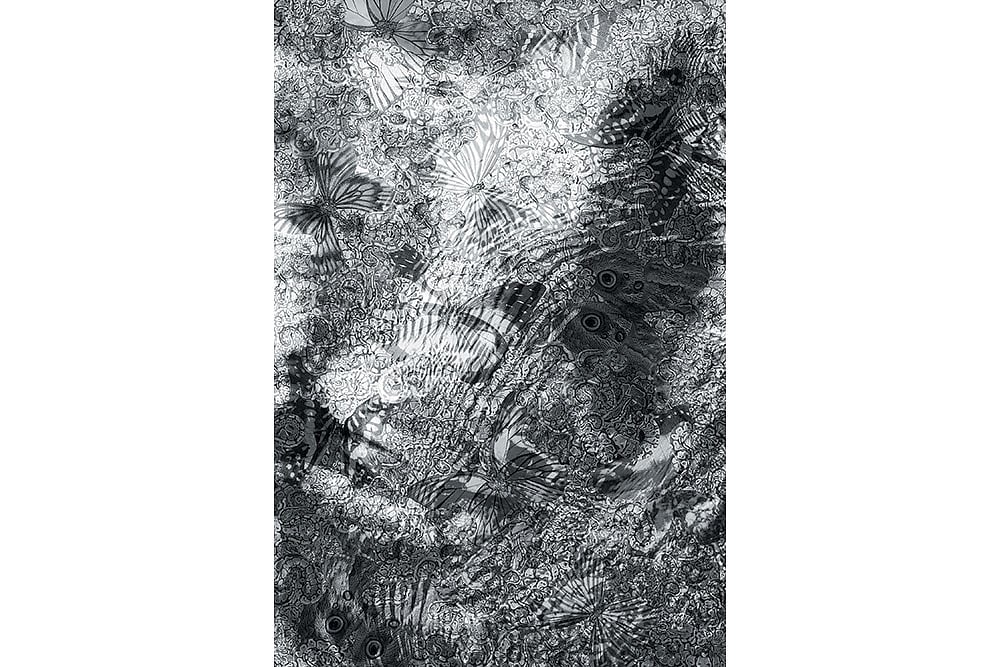 Artwork: Avinash Veeraraghava; Courtesy: Galleryske; Photograph by Vikram Sharma   