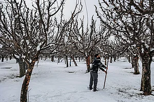 Getty Images : In the ongoing winter season, the Indian Himalayas witnessed an unusually dry spell as snowfall was delayed till January-end and early-February.
