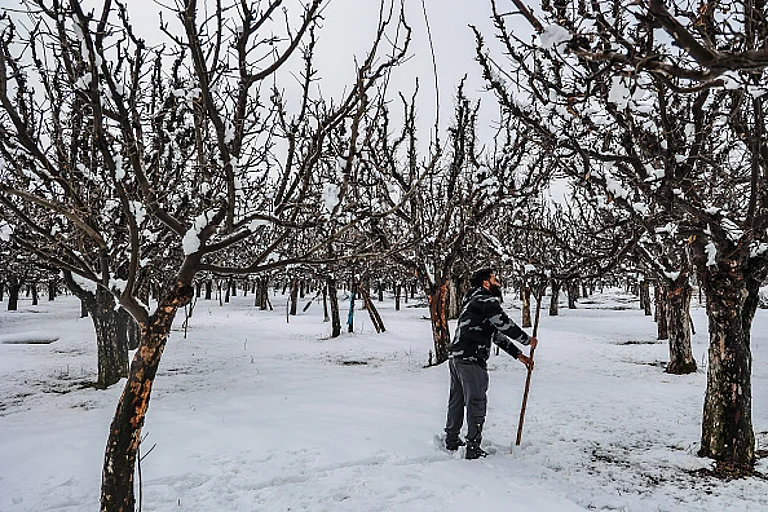 In the ongoing winter season, the Indian Himalayas witnessed an unusually dry spell as snowfall was delayed till January-end and early-February. - Getty Images