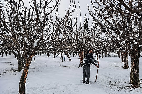 Climate Adaptation Need Of The Hour As Early Summers, Erratic Rains And Snowfall Disrupt Farming From Plains To Hills