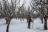 Drop In Temperature, Clear Skies, Dry Weather Likely In Kashmir Till January 5 Getty Images : In the ongoing winter season, the Indian Himalayas witnessed an unusually dry spell as snowfall was delayed till January-end and early-February.