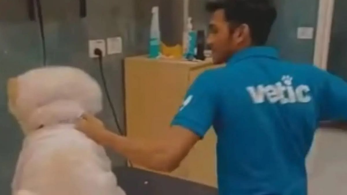 Clinic staff repeatedly striking and kicking the dog.  - (Screengrab)