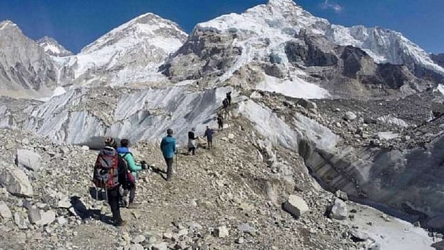 Himachal Pradesh: 2 Trekkers Die At Bir Billing, Pet German Shepherd Guards Bodies For Next 2 Days