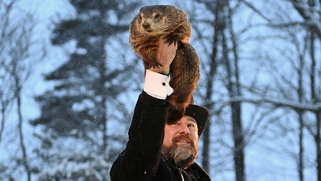 Groundhog Day 2024: Punxsutawney Phil Predicts An Early Spring