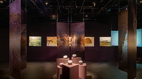 Mercedes Dorame installations at Oxy Arts